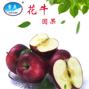 甘肃【雪原苹果】新鲜天水花牛10斤装80mm红蛇果粉面水果整箱包邮