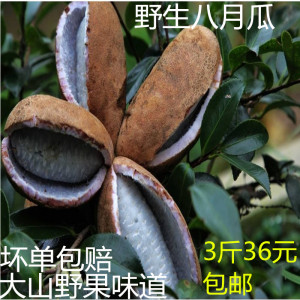 八月瓜八月炸野生水果湖南湘西大山特产香瓜甜瓜 span class=h>野香蕉