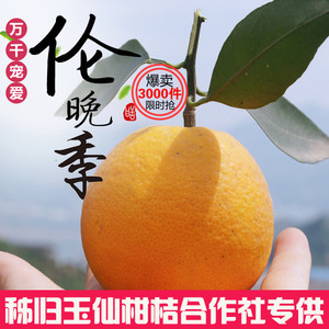 秭归伦晚春橙子10斤包邮 当季新鲜水果孕妇手剥甜晚伦 超赣南脐橙新鲜橙子