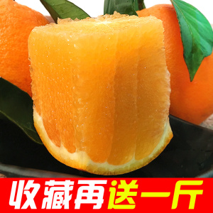 湖北秭归脐橙纽荷尔现发当季橙子新鲜水果甜橙手剥橙包邮批发新鲜橙子