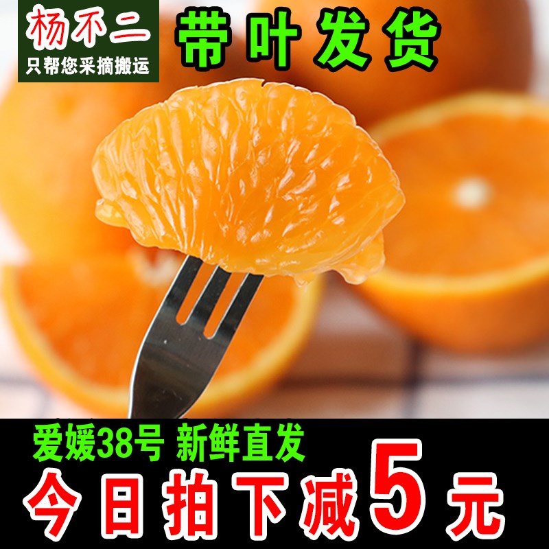 丹棱爱媛38号果冻橙超甜薄皮新鲜橙子红美人柑橘爱源橘子爱缓桔子