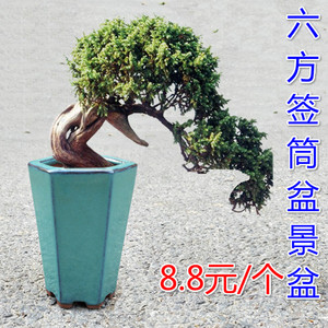 class=h>微型 /span> span class=h>六方 /span>六角盆景签筒 span