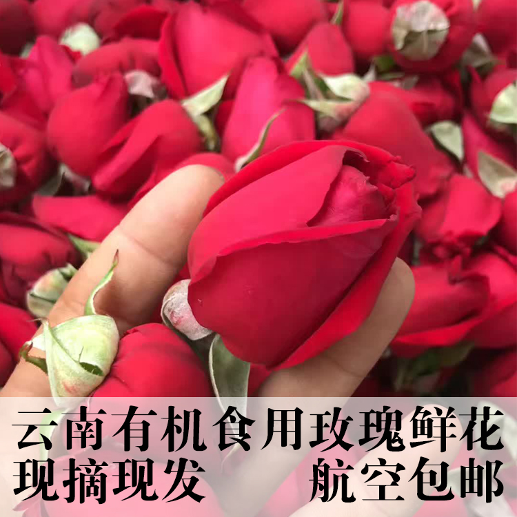 精选云南有机食用玫瑰花特级墨红花苞新鲜花骨朵4斤花蕾2000g包邮