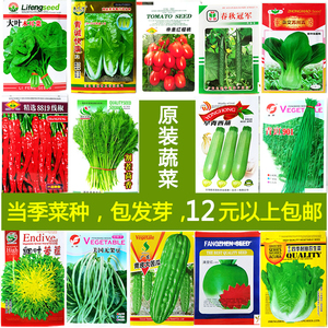 菜籽种大全四季播种非转基因蔬菜种籽 span class=h>子 /span> span