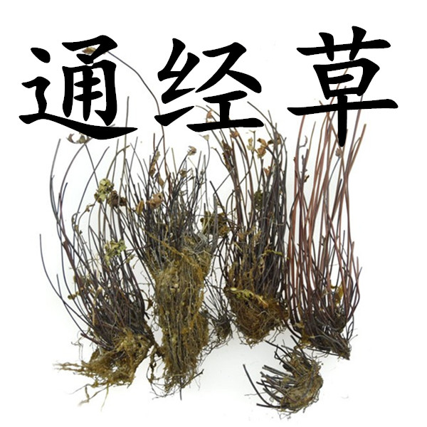 中药材 通经草 金丝草 止惊草 铁骨草 分经草石崖铜丝草500g包邮