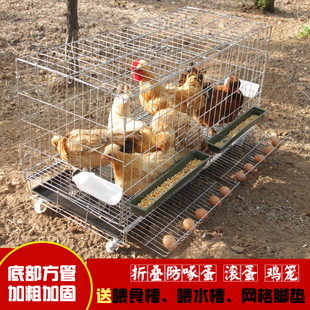 鸡笼子 家用大号包邮特价清仓养殖场专用笼鸽子笼自动滚蛋鸡笼