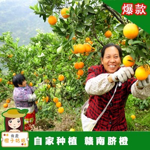 正宗江西赣南脐橙20斤包邮农家特产实惠装孕妇新鲜水果橙子甜零食江西特产