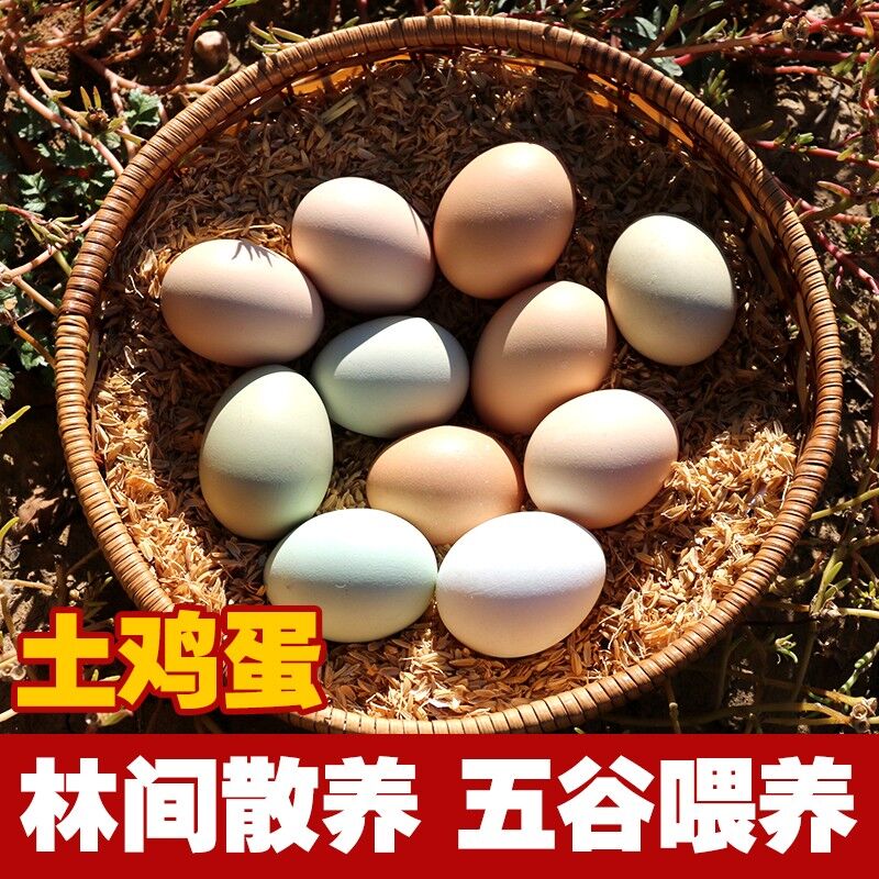 赣农农家林间散养土鸡蛋   吃虫草的鸡蛋  30枚包邮