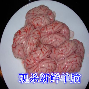 假一赔十生鲜羊脑真特价内蒙羔羊肉热销涮火锅包邮优质牛羊肉500g