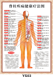 ys03 脊柱疾病健康疗法挂图 脊椎疾病健康疗法挂图海报展板画图片