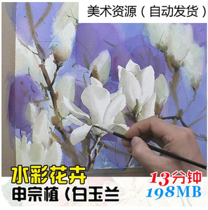 花卉-韩国申宗植水彩(白玉兰 水彩视频教程插画素材 绘画适痉 