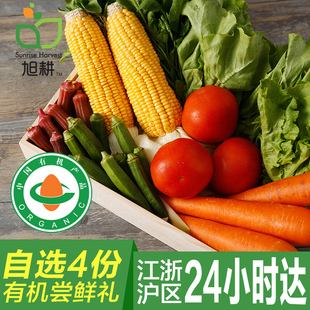 【旭耕】有机蔬菜任选4种当日采摘 崇明农场 番茄 农产品礼盒食品