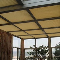 阳光房顶天棚帘