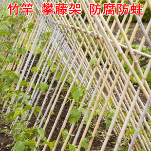 种菜地竹竿竹子搭架子爬藤架创意葡萄防腐防蛀淡竹紫竹多尺寸