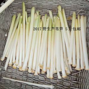 香蒲菜新鲜野菜芦苇笋蒲菜野茭白茭笋白笋蒲笋纯天然 span class=h>