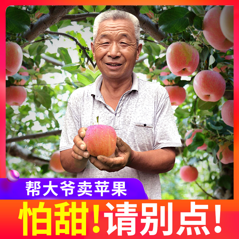 新鲜水果正宗徐州丰县大沙河苹果红富士冰糖心丑苹果10斤批发包邮