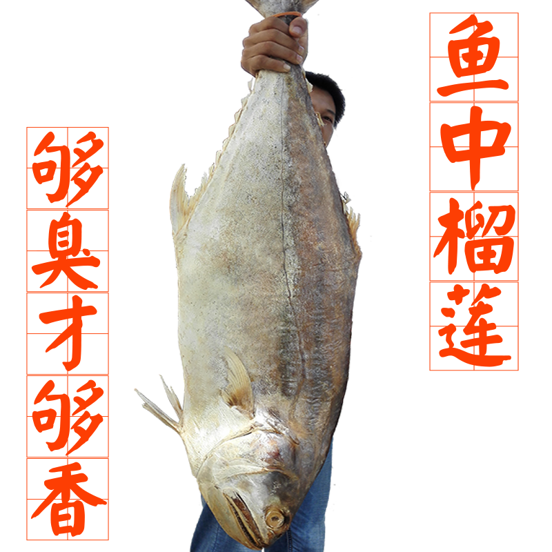 北海特产梅香咸鱼鲅鱼干马鲛鱼干霉香马友鱼臭鱼海鲜干货400-500g