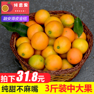 现摘广西融安小 span class=h>金桔 /span>滑皮脆皮 span class=h>