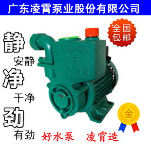 广东凌霄自吸泵1zdb35 45 65型220v家用增压泵 清水泵 高扬程水泵