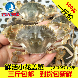 class=h>美 /span>味海蟹螃蟹当天海捕石蟹花盖蟹石闸蟹