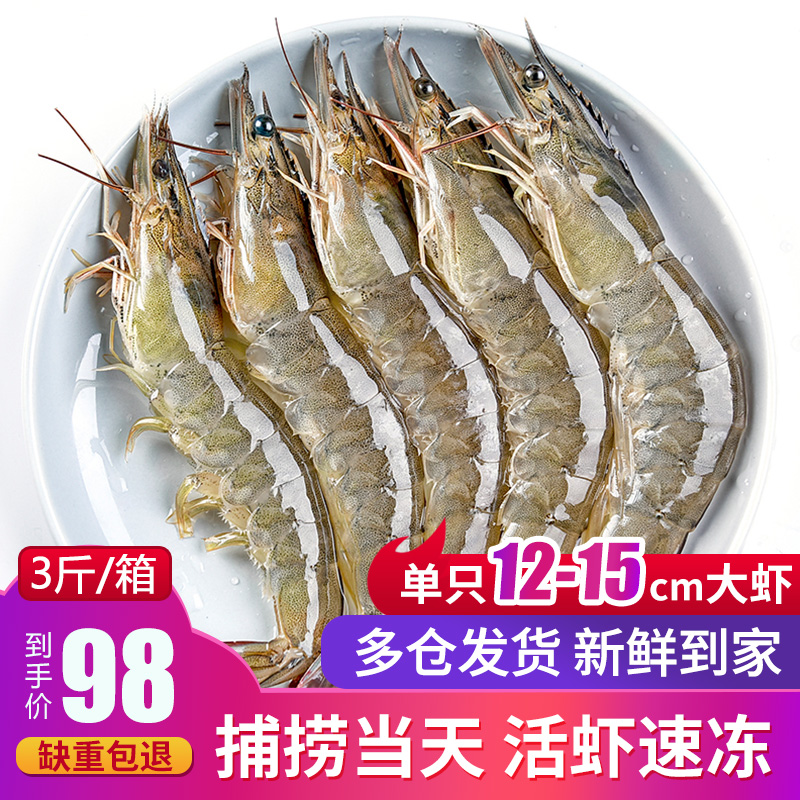 12-15cm 虾鲜活青岛大虾超大冷冻海鲜水产基围虾进口厄瓜多尔白虾