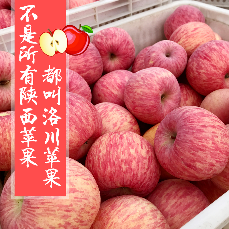 【就这味】陕西洛川苹果富硒红富士产地直供10斤包邮孕妇水果80