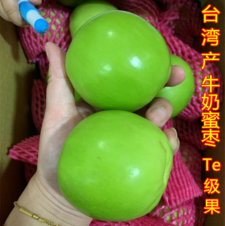 口感巅峰台湾高雄新鲜水果牛奶蜜枣青枣又脆又甜五斤包顺丰