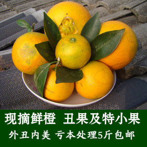 秭归脐橙5斤小果丑果春橙伦晚处理果当季新鲜水果包邮榨汁橙子新鲜橙子