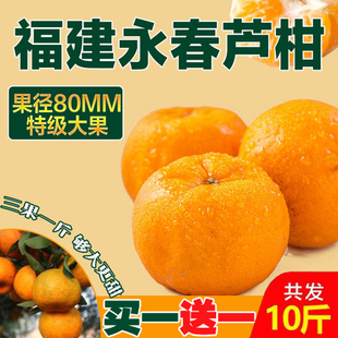 橘子福建芦柑椪柑10斤长泰桔子水果新鲜薄皮5斤批发包邮碰柑永春