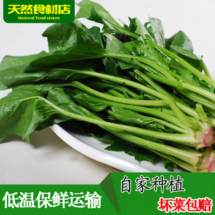 新鲜蔬菜 野菜 野菠菜 洋菠菜 番杏 纯野生 12元500g$12 已售1件$