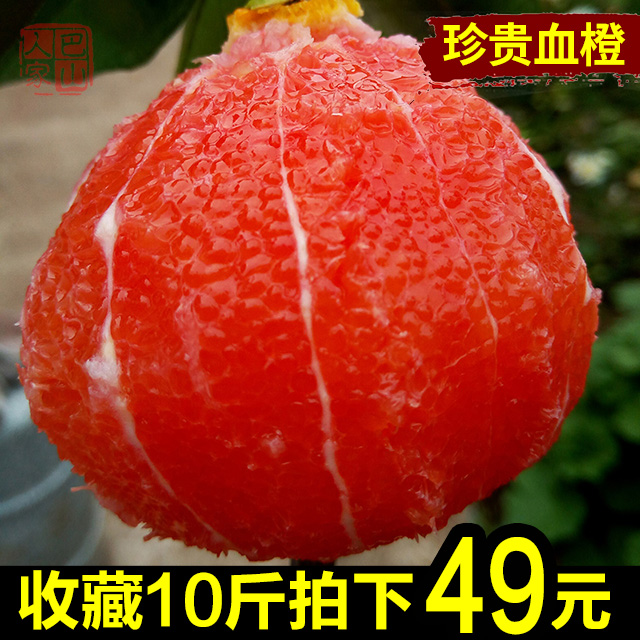 血橙 新鲜10斤包邮红肉橙子水果中华红雪橙当季秭归江西赣南脐橙