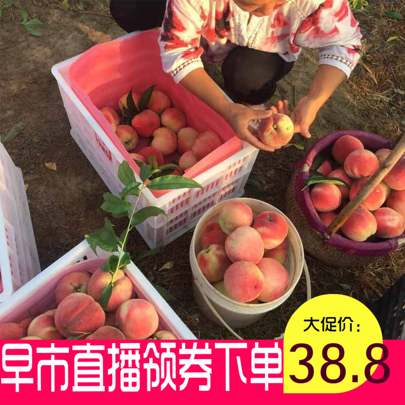 现货水蜜桃应季水果桃子新鲜冬季孕妇3斤包邮脆甜毛桃非黄桃油桃