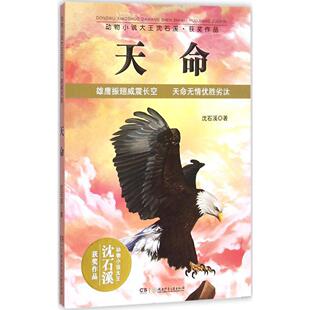 叶小龙图片