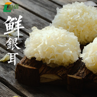 新鲜银耳雪耳