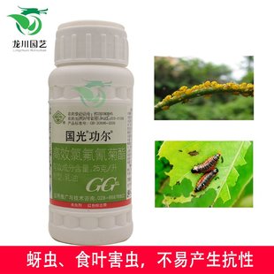 氯氟氰菊酯 国光功尔 花卉苗木蔬菜果树蚜虫 食叶害虫 植物杀虫剂