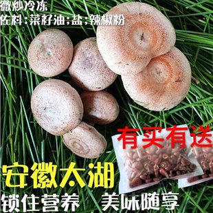 2017优质三九菇 枞树菇 毛草菇微炒冷冻野生菌蘑菇500g 特惠 赠品