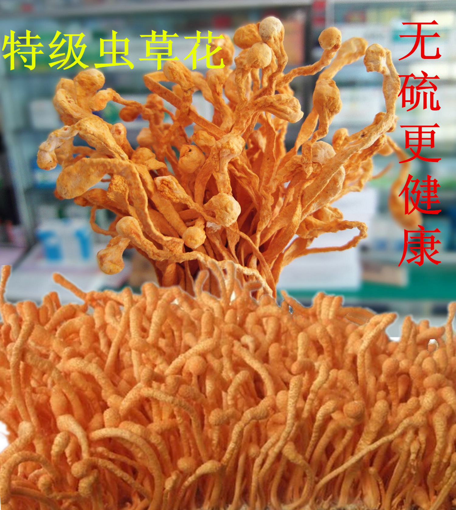 滋补金虫草花正品特级北虫草子实体蛹虫草孢子头250克 包邮