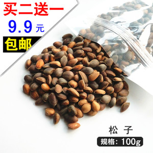 包邮 买二送一 松子 松鼠粮食松鼠零食仓鼠粮食龙猫零食坚果100g龙猫粮