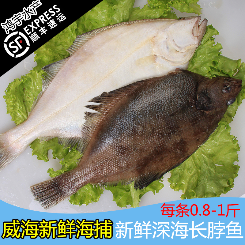 威海特产新鲜深海长脖鱼 冷冻偏口鱼 比目鱼 每0.8-1斤顺丰