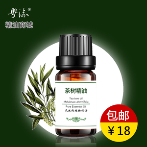 茶树精油祛痘去印面部粉刺脸部护肤单方淡化痘印正品10ml茶树油精油