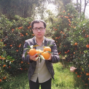 【立减15伦晚脐橙】5斤新鲜橙子非赣南脐橙新鲜水果现摘现发包邮新鲜橙子