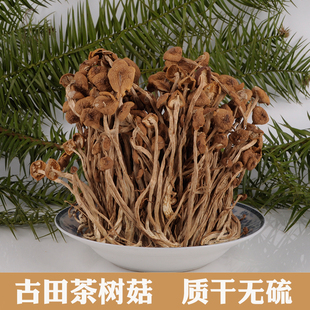 古田茶树菇250g不开伞茶薪菇干货 新鲜采摘口感鲜嫩 菇柄脆香无硫