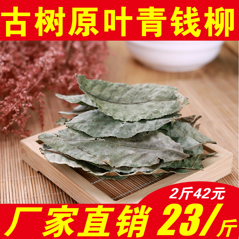 爱艺园野生青钱柳茶 正宗精选成叶青钱柳茶 清金钱柳古树原叶茶