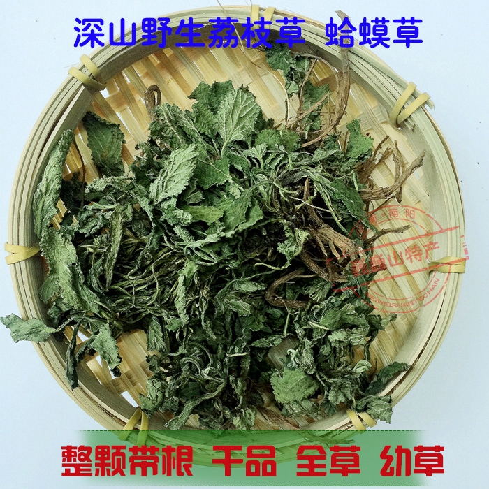 青蛙草蟾蜍草整棵全草干品1斤包邮深山野生荔枝草癞蛤蟆草皱皮草