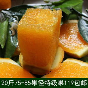 江西赣州赣南脐橙新鲜水果甜橙南方特产孕妇水果信丰现摘20斤包邮江西特产