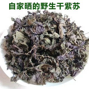 湖南益阳正宗野生天然紫苏叶干泡茶烧鱼虾蟹去腥干货食用香料50克