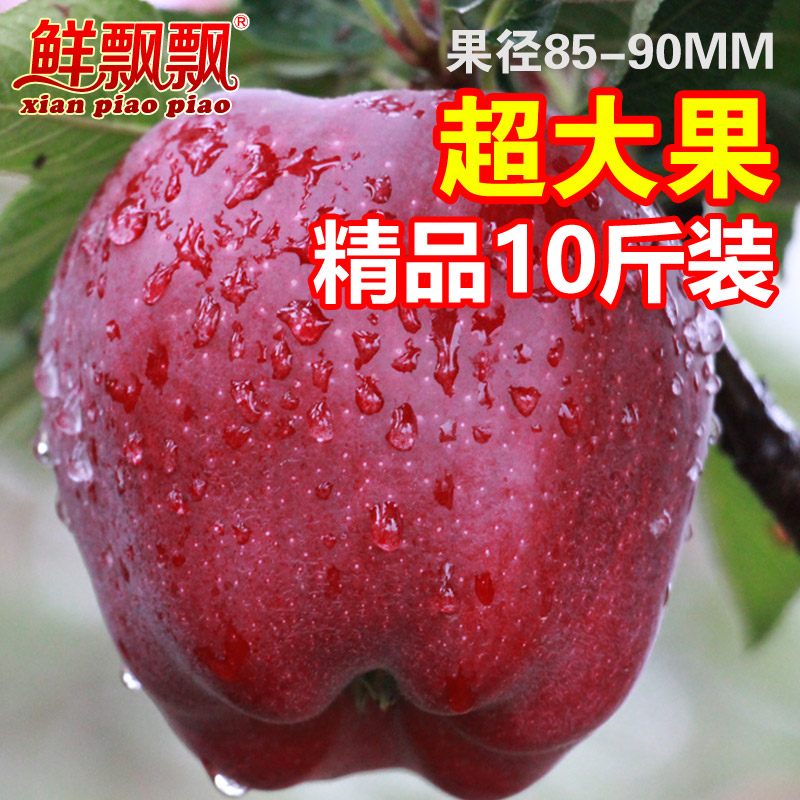 鲜飘飘礼县花牛苹果酥脆甜多汁新鲜红星苹果水果蛇果10斤