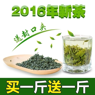 山东有机 茶叶日照绿茶2016年新茶散装雪青 春茶 炒青500g 绿茶