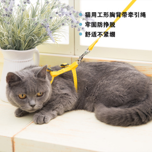 span class=h>猫/span>咪用牵引绳拉胸背带遛 span class=h>猫