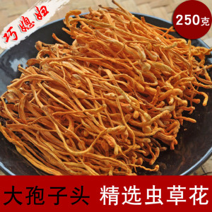 广东新会 span class=h>虫草花/span>蛹虫草金北虫草子实体不老草